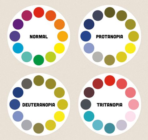 A diagram showing colour wheels as they might be perceived by people with different types of colour blindness. Color Vision Deficiency, Colour Wheels, Body Science, Eye Facts, Poster Classroom, Different Types Of Colours, Science Fact, Color Vision, Low Vision