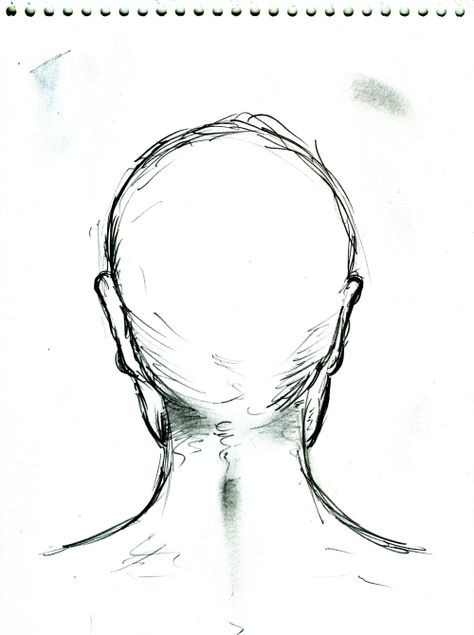 Back Of A Head Reference, Back Head Reference Drawing, Back Of The Head Drawing, Back Head Reference, Head And Shoulders Drawing Reference, Back Head Drawing, Back Of Head Reference, Back Of Head Drawing, Head Back View