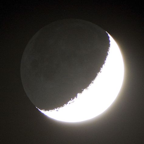 I’ve been meaning to take this picture for a while. When the moon is low enough in the horizon and after sunset, it gathers a bit of reflected light from the Earth. It’s easy to see with your eyes but difficult to capture with a camera unless you do a long exposure. Luna Moon, Allison Argent, The Moon Is Beautiful, Look At The Moon, Moon Pictures, Moon Lovers, Beautiful Moon, Space And Astronomy, Night Aesthetic