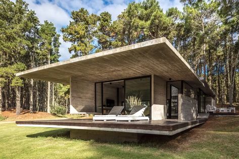 Modern Concrete House, Concrete House Design, House Forest, Green Terrace, Photography Forest, Concrete Houses, Concrete Home, Concrete Roof, Architecture Landscape