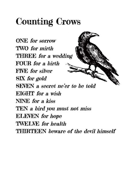 Curse Of Strahd, Magia Das Ervas, Counting Crows, Witch Spirituality, A Crow, Witchcraft Spell Books, Witch Spell Book, Writing Inspiration Prompts, The Curse