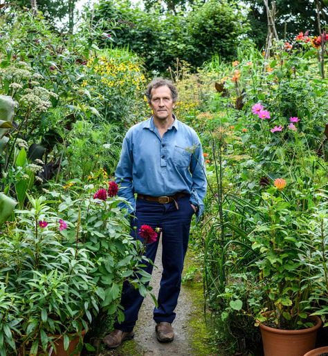 Monty Don: ‘Everything about gardening is personal. It heals my troubled brain’ | Life and style | The Guardian Longmeadow Garden, Gardeners World, Charleston Restaurants, Deadheading, Middleton Place, Monty Don, Homegrown Food, American Garden, Growing Dahlias