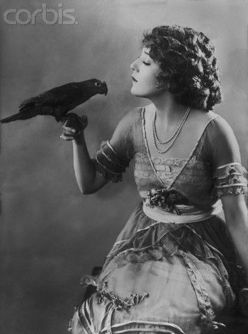 Mary Pickford with parrot, c. 1920 Photographer; E O Hoppe Black Lilies, Edna Purviance, Silent Films, Mary Pickford, The Golden Years, Silent Movie, Turn Of The Century, Hollywood Star, Old Fashion