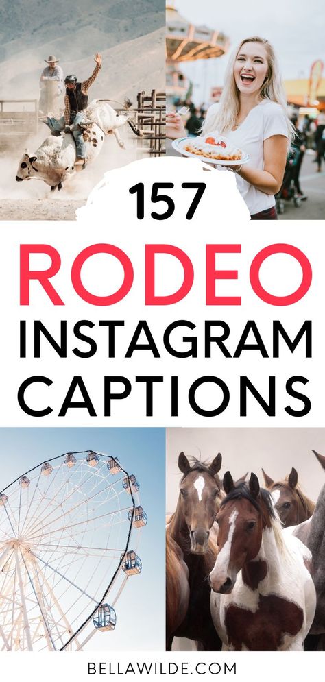 Western Selfie Captions, Rodeo Quotes Funny, Rodeo Sayings And Quotes, Cow Instagram Captions, Short Cowgirl Quotes, Rodeo Quotes Instagram, Cowgirl Insta Captions, Stagecoach Captions, Cow Captions For Instagram