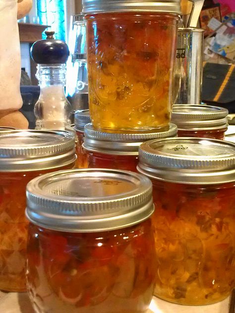 Hot pepper Tequila Jelly Moonshine Jelly Recipe, Best Pepper Jelly Recipe, Cranberry Pepper Jelly Recipe, Pepper Ideas, Apple Beer, Dehydrator Recipes Fruit, Garden Canning, Jelly Of The Month Club, Habanero Jelly