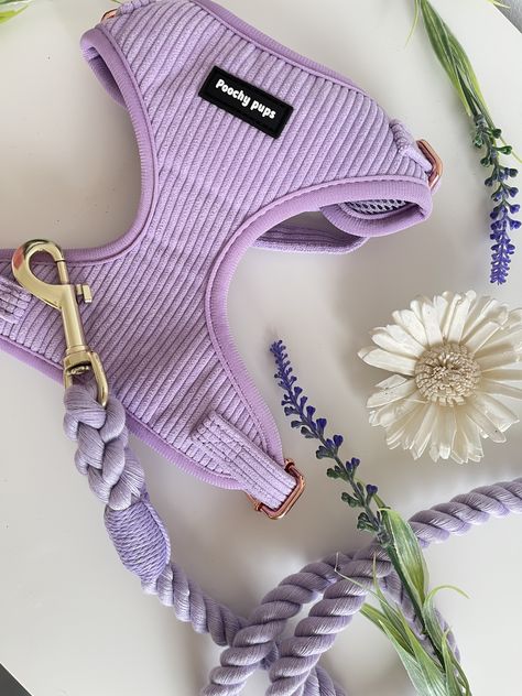 Cute Puppy Harness, Pretty Dog Harness, Harnesses For Dogs, Puppy Harness And Leash, Cute Harness For Dogs, Purple Dog Harness, Aesthetic Dog Harness, Cute Dog Products, Big Dog Accessories