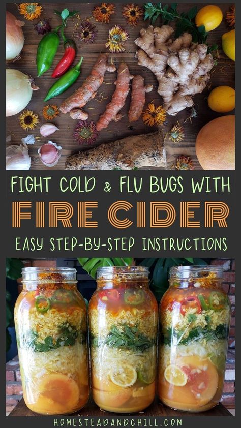 Fire Cider Recipe, Plat Vegan, Fire Cider, Cider Recipe, Herbal Recipes, Cold Remedies, Healing Food, Homemade Remedies, Immune Health