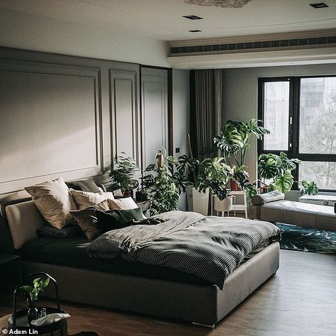 The 25-year-old has covered the corners and shelves of his bedroom with luscious plants... Gardens Ideas, Indoor Gardening, 25 Years Old, Over 50, Lush, Melbourne, Home And Garden, Shelves, Bedroom