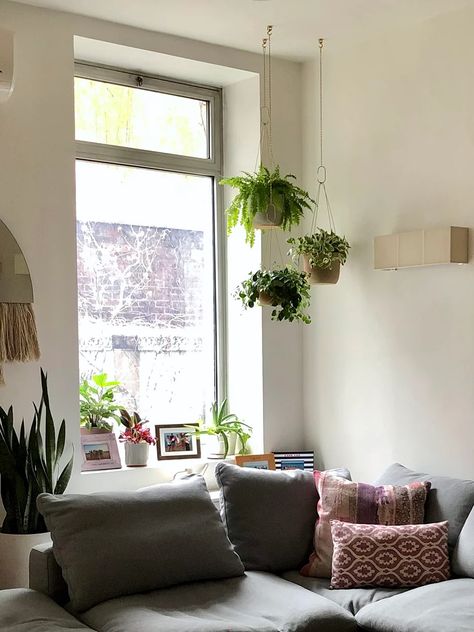 Plant Hangers For Indoors, Hanging Plants Over Bed, Reading Nook Plants, Hanging Plant Ideas, Hanging Indoor Plants, Plants Hanging, Indoor Plant Wall, Room 2023, Creative Room