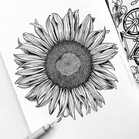 Black Pen Drawing, Micron Pen Art, Point Drawing, Sunflower Illustration, Drawing Pens, Brush Pen Art, Ink Pen Art, Sunflower Drawing, Drawing Manga