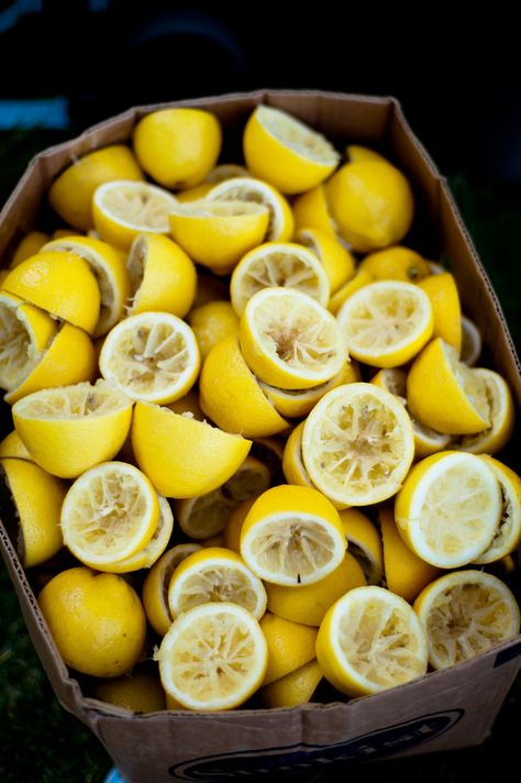 https://flic.kr/p/ajQba4 | Squeezed lemon How To Squeeze Lemons, Mellow Yellow, Beautiful Food, Fruits And Veggies, Mimosa, Food Styling, Food Photo, Fruits And Vegetables, Fresh Fruit