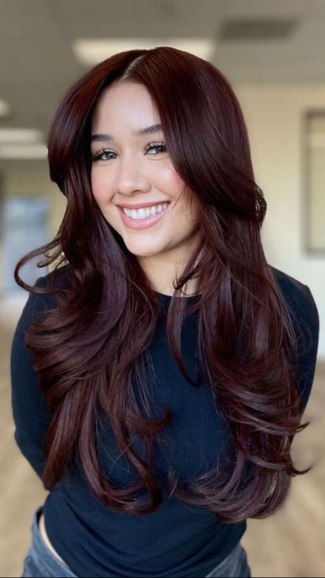 Dark Copper Red Hair Color, Pelo Color Vino, Cherry Brown Hair, Wine Hair Color, Mahogany Hair, Wine Hair, Red Hair Inspo, Brown Hair Looks, Cherry Brown