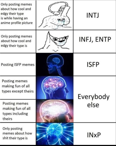 Intp Girl, Mbti Intp, Intj T, Intp Personality Type, Intp T, Enfp T, Mbti Memes, Intp Personality, Infp Personality