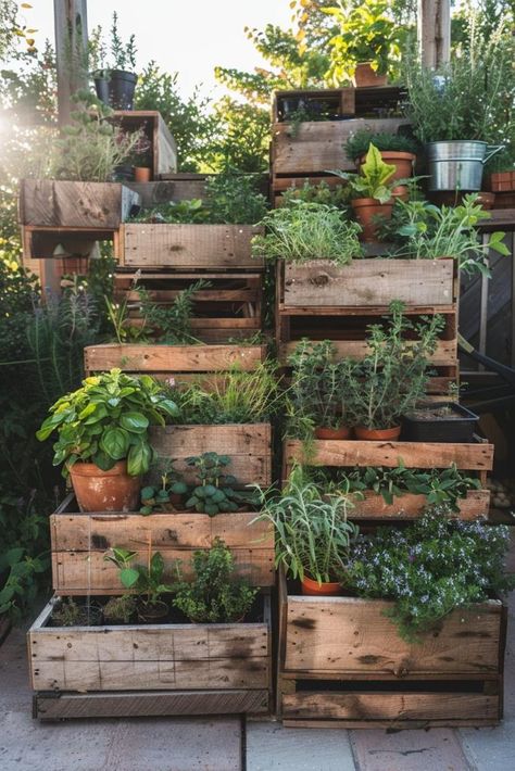 Herb Garden Outdoor Design Landscapes, Herbal Garden Aesthetic, Allotment Ideas Inspiration Uk, Herb Garden Inspiration, Apothecary Greenhouse, Pallets For Gardening, Herb Garden Aesthetic, Garden Shop Display, Herb Planter Ideas