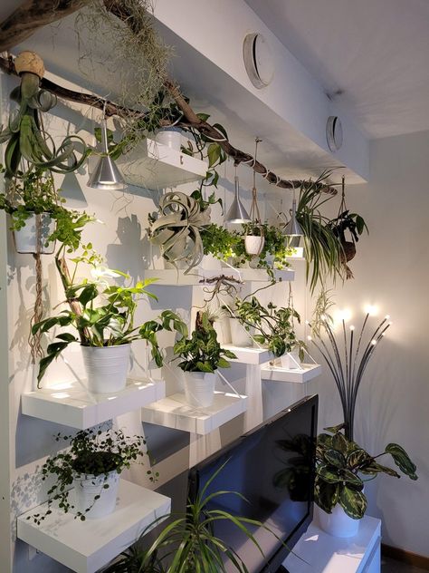 Large Plant Wall Indoor, Plant Wall With Lights, Ikea Plant Wall, Plant Feature Wall, Diy Plant Wall, Wall Plants Indoor, Plant Wall Diy, Living Wall Indoor, Plant Walls