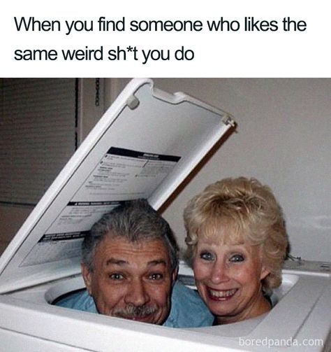 89 Funny Relationship Memes That Will Either Give You Butterflies, Or Make You Throw Up Funny In Love Memes, Self Love Memes Funny, Humour, Funny Relationship Memes For Him, When Your Boyfriend Is Busy Meme, I Like You Memes Funny, Couple Humor Funny, Memes About Relationships Funny Dating, Cute Funny Memes For Him