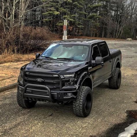 Ford F-150 Ford F150 Lifted, Ford F150 Accessories, Ford F150 Custom, Ford F150 Fx4, Mobil Off Road, Jacked Up Truck, Fords 150, Truck Logo, Ford F150 Xlt