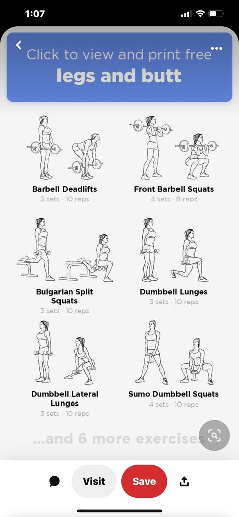 Barbell Quad Exercises, Dumptruck Workout At Home, Boflex Workouts For Women At Home, Glutes And Quads Workout At Home, Legs Bums And Tums Workout, Boflex Workouts, Quad Workout At Home, Squats With Dumbbells, Glutes And Quads Workout