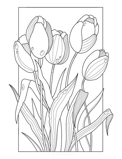 Tulip Vector, Flower Coloring Pages For Kids, Fleurs Art Nouveau, Drawing Dragon, Printable Flower Coloring Pages, Book Vector, Arte Doodle, Flowers Coloring, Flower Art Drawing