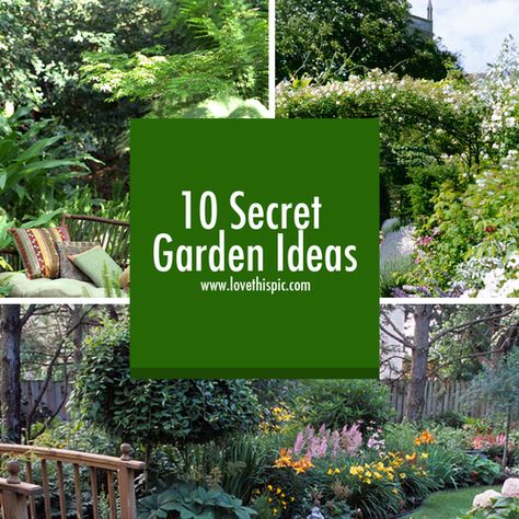 Garden Niche Ideas, Creating A Secret Garden, Tiny Secret Garden, Secret Garden Ideas Hiding Places, Secret Garden Ideas, Mini Backyard, Garden Nooks, Zen Backyard, Garden Decks