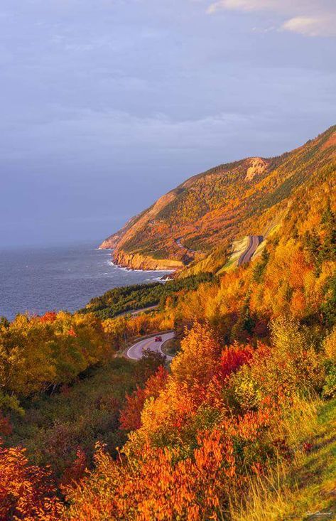 Nova Scotia Nature, Cabot Trail Nova Scotia, Nova Scotia Landscape, Nova Scotia Travel, Cape Breton Nova Scotia, Cabot Trail, Cape Breton Island, Fall Colours, Cute Date Ideas