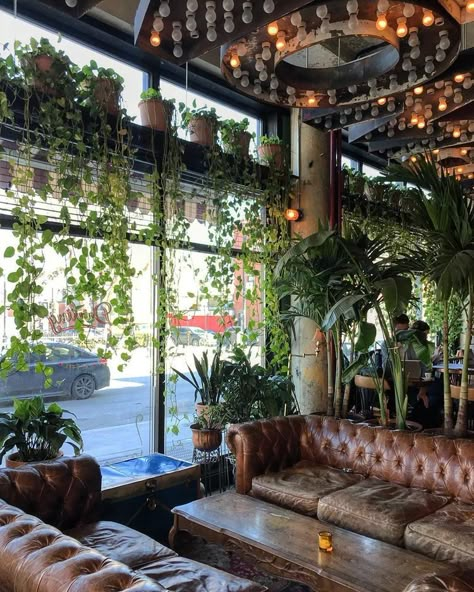 Dream Coffee Shop, Vintage Coffee Shops, Bar Deco, Coffee Shop Interior, Lots Of Plants, Dream Cafe, Coffee Shop Interior Design, Cozy Coffee Shop, Coffee Shop Ideas