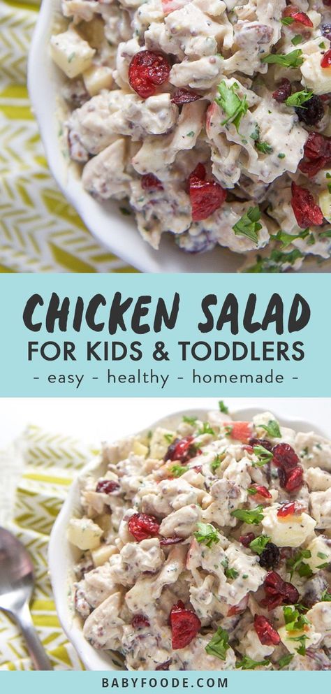 This healthy Harvest Chicken Salad is made with cubed chicken, apples, pecans and dried cranberries, all tossed with a yogurt and mustard dressing. This no mayo chicken salad is easy for you to make and easy for your toddler or big kid (and you) to devour for lunch, dinner, or a picnic! It's also great for packed school lunch. #kidfriendly #chickensalad #healthy #lunch No Mayo Chicken Salad, Harvest Chicken Salad, Packed School Lunch, Harvest Chicken, Daycare Meals, Salads For Kids, Cubed Chicken, Healthy Harvest, Mayo Chicken