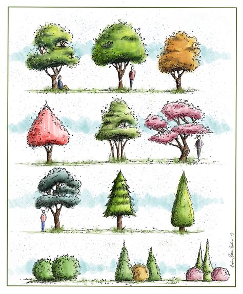 Tree Rendering Architecture, Landscape Markers, Sharpie Drawings, Geometric Trees, Landscape Design Drawings, Digital Rendering, Copic Marker Art, Landscape Architecture Drawing, Interior Architecture Drawing