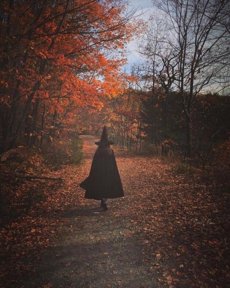 Autumn Cozy / A witchy walk on a lovely fall day ... The Middle, Witch, Trees, Forest, Road, Orange, Halloween, Black