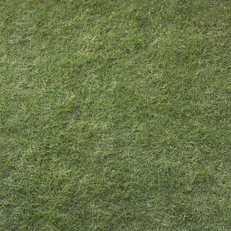 Textures grass #Textures, #grass -  Textures grass #Textures, #grass Grass Texture Seamless Photoshop, Grass For Photoshop, Grass Texture Architecture, Grass Texture Photoshop Architecture, Green Texture Architecture, Grass Texture Photoshop, Land Texture, Grass Texture Seamless, Green Grass Texture