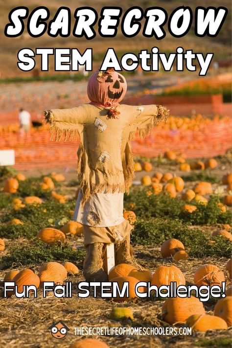 Scarecrows are a fun fall decoration, but they can also be a fun hands-on STEM activity. In this Scarecrow STEM activity, kids can have fun learning about scarecrows and how to build them. Do this STEM challenge in the spring to help keep birds away from newly planted seeds or in the fall to protect growing crops (or as a cute decotration). Scarecrow Steam Activity, Christian Stem Activities, Fall Stem Activities Elementary, Autumn Stem Activities For Kids, Seed Activity For Kids, Stem Fall Activities, Autumn Stem Activities, Scarecrow Activities For Kids, 2nd Grade Fall Stem Activities