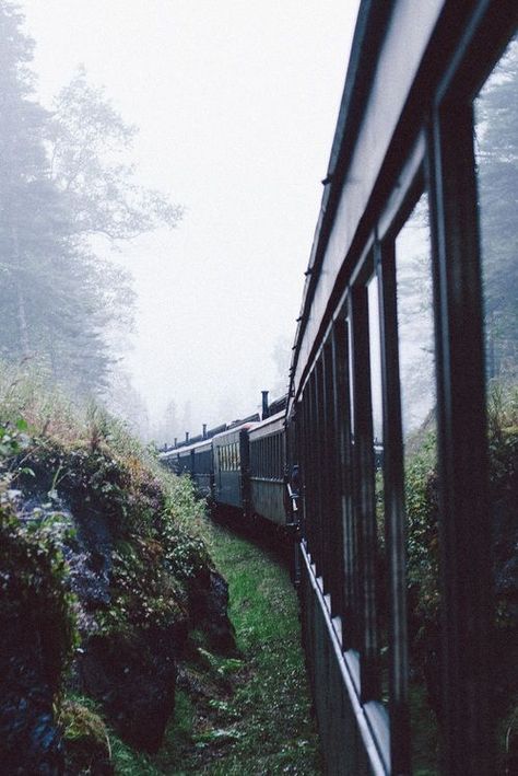 i'll ride a train someday. Leyte, Train Photography, Orient Express, Train Tracks, Jolie Photo, Train Rides, Train Travel, Nature Landscape, Adventure Awaits