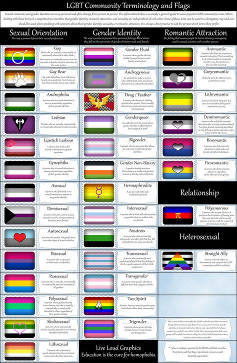 LGBT Terminology and Flags | LGBTQ | Know Your Meme Gender Identities, Lgbt Equality, Lgbtq Flags, Lgbt Flag, Pansexual Pride, Lgbt Rights, Lgbt Love, Gender Identity, Lgbt Pride