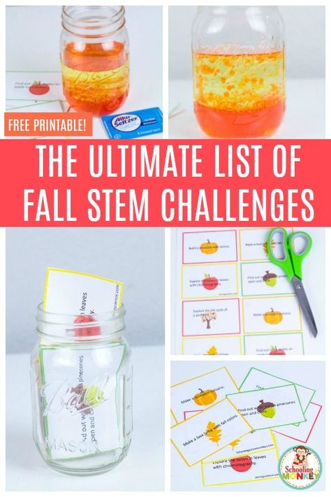 Fall STEM challenges provide a fun fall twist on classic STEM activities for kids. Try these printable fall STEM challenge cards to make your science class easy and fun! #science #stemed #stemactivities #scienceclass #scienceforkids Easy Stem Challenges, Stem Challenge Cards, November Stem, Fall Stem Challenges, Kindergarten Science Experiments, Stem Activities Middle School, Fall Stem Activities, Stem Activities Kindergarten, Fall Math Activities