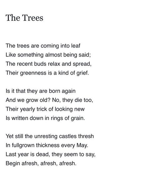 Philip Larkin Phillip Larkin, Philip Larkin, High Windows, Literature, Poetry, Trees, Quick Saves