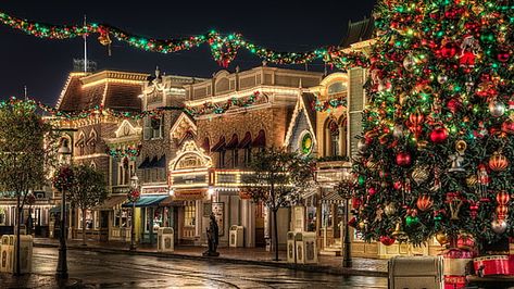 tree, disneyland, evening, downtown, tourist attraction, france HD wallpaper Christmas Wallpaper Gif, Christmas Wallpaper Ipad, Christmas Wallpaper Hd, Christmas Desktop Wallpaper, Christmas Tree Wallpaper, Christmas Desktop, Wallpaper Computer, Christmas Landscape, Nyc Christmas