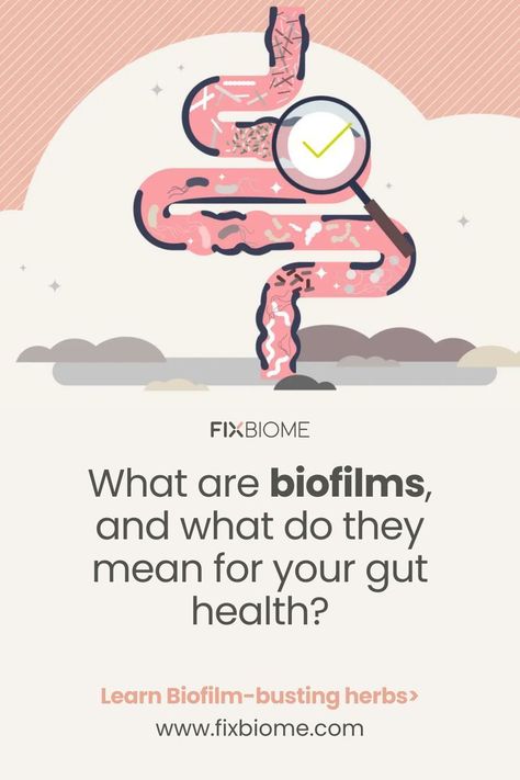 What are biofilms, and what do they mean for your gut health? in 2022 | Gut health, Gut problems, Gut healing diet Clean Your Gut, Gut Buster, Gut Healthy Recipes, Gut Healing Diet, Gut Problems, Yeast Overgrowth, Healing Diet, Gut Issues, Small Intestine