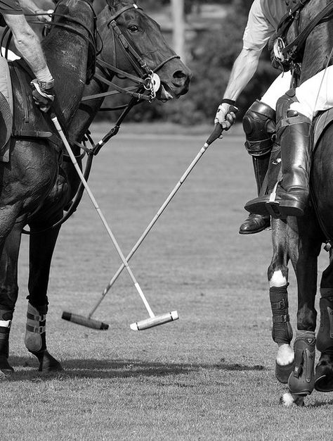 New rounds, new chances. Ham Polo Club Polo Riding Aesthetic, Tom Buchanan Aesthetic, Polo Club Aesthetic, Polo Aesthetic Sport, Horse Polo Aesthetic, Polo Game Aesthetic, Polo Horse Aesthetic, Polo Sport Aesthetic, Polo Horse Riding