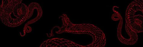 Laptop Backround Aesthetic Dark, Snake Banner Discord, Red Dc Banner, Dark Red Banner, Red Widgets, 트위터 헤더, Red Aura, Red Gothic, Black Banner