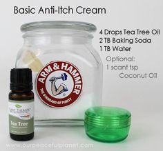 Natural Bug Repellant, Bug Bites Remedies, Bug Repellant, Natural Bug Spray, Natural Bug Repellent, Skin Bumps, Anti Itch Cream, Anti Itch, Bug Spray