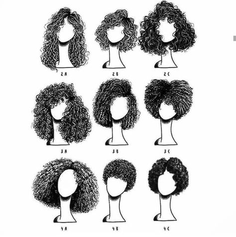 Long Curly Hair 😍💜 on Instagram: “Which is your type? Mine is 3b 😍❤️ . . . . . . . . #longcurlyhair #longhair #curlygirls #curlyhair #curls #bighair #cacheada…” 3c Curly Hair, 3c Hair, Hair Sketch, Different Hair, Curly Hair Inspiration, Curly Hair Routine, Curly Hair Care, Hair Reference, Hair Curly