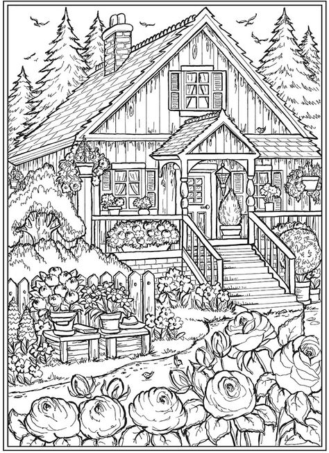 Pony Express, Gray Scale, Dover Publications, Cute Coloring Pages, Whimsical Art, Diy Art, Adult Coloring, Coloring Books, Coloring Pages