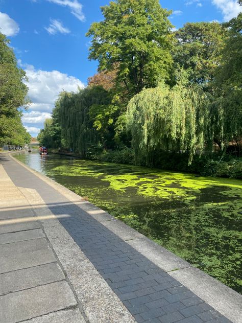 London Garden Aesthetic, Spring In London Aesthetic, Primrose Hill Aesthetic, Summer In London Aesthetic, Uk Summer Aesthetic, London Aesthetic Summer, London Summer Aesthetic, Month Aesthetic, St James Park London