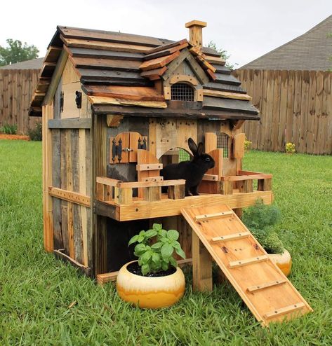 Bunny Hutch Diy Outdoor, Rabbit Hutch Ideas, Pet Playground, Rabbit Hutch Outdoor, Bunny Sheds, Cat Apartment, Rabbit Ideas, Bunny Hutch, Garden Boxes Diy