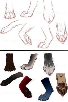 Dog Paw Drawing, Paw Drawing, Canine Drawing, Dog Anatomy, Animal Study, Canine Art, Wolf Drawing, Creature Drawings, Poses References