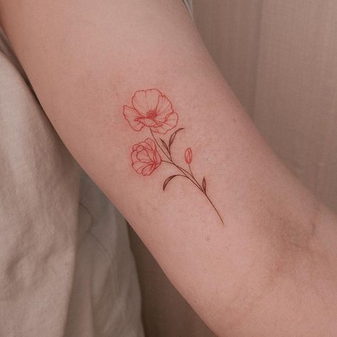 Hailey on Instagram: “Poppy😍 . . . #tattoo #tattoos #torontotattoo #canada #toronto #flower #illustration #drawing #blackwork #finelinetattoo #flowertattoo #art…” Small California Poppy Tattoo, California Poppy Tattoo Simple, Colored Poppy Tattoo, Two Poppy Flower Tattoo, Californian Poppy Tattoo, Poppyseed Flower Tattoo, Poppies Flower Tattoo, Color Poppy Tattoo, August Poppy Tattoo