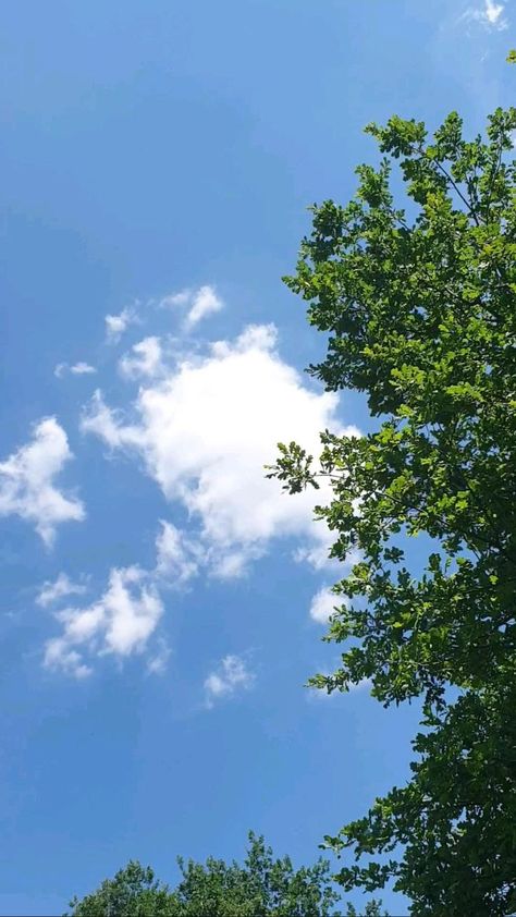 Bird Soaring, Sky Images, Sky Photography Nature, Free Bird, The Blue Sky, Japon Illustration, Sky Pictures, Landscape Photography Nature, Sky Photos