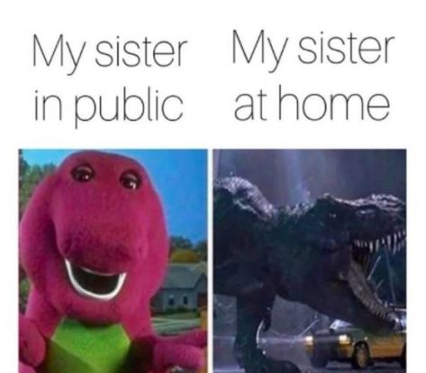 37 Sibling Memes That Prove They Can be So Annoying. - Gallery Sister Meme, Drunk Memes, Siblings Funny Quotes, Sibling Memes, Siblings Funny, Sisters Funny, Memes Br, Memes Humor, Really Funny Memes