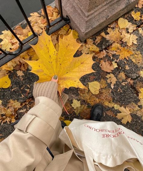 Fall Mood Board, Fall Inspo, Best Seasons, We Fall In Love, Autumn Cozy, Autumn Aesthetic, Girl Falling, Photo Instagram, Autumn Day