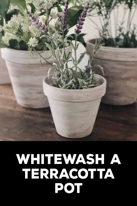 How to Whitewash a Terracotta Pot How To Stain Terra Cotta Pots, Cleaning Terra Cotta Pots, Clean Terra Cotta Pots, White Painted Terra Cotta Pots, Whitewashing Terra Cotta Pots, Embellished Clothing, Terracotta Pots, Beautiful Embroidery, Easy Step